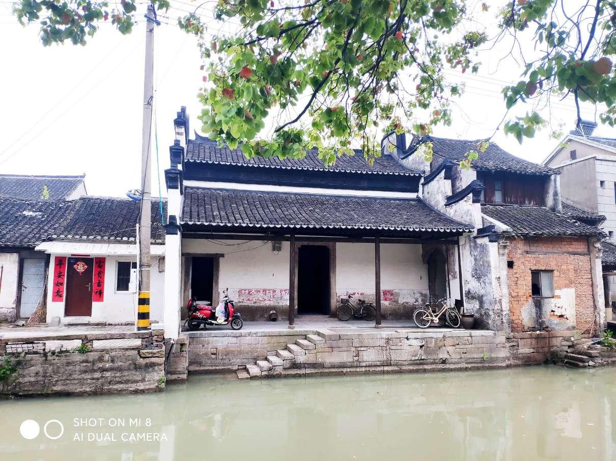 以“绿”为底，绘就活力中国新画卷